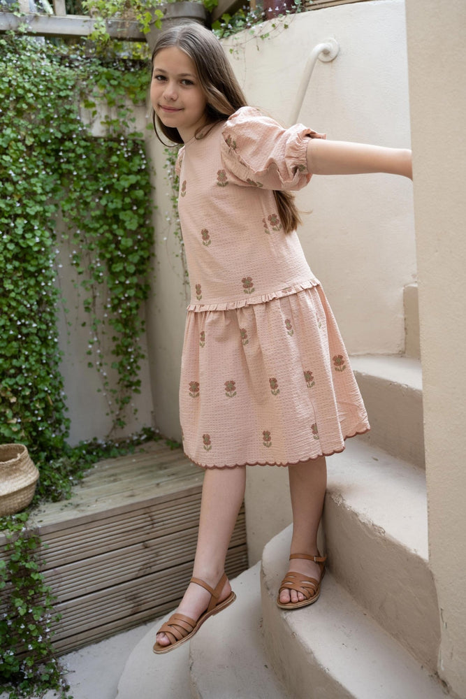 ALIN DRESS POUDRE - KOKORI Kids